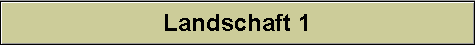 Landschaft 1